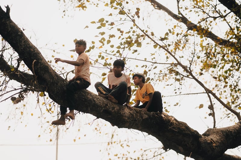 Treehouse Sites